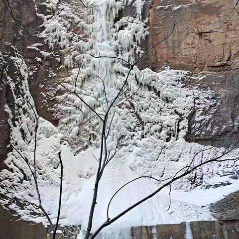 太行峡谷观雪松