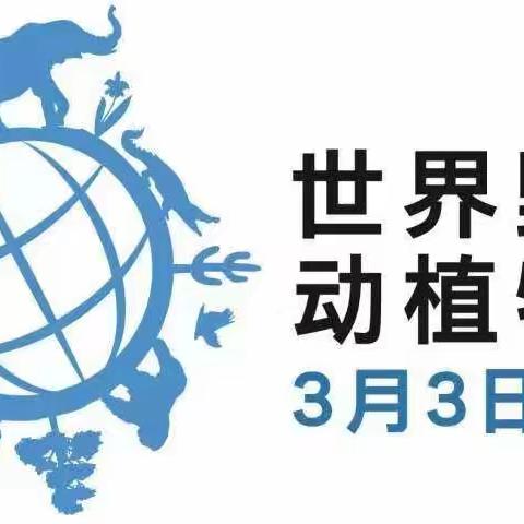 金城办3月3日“世界野生动植物日”倡议书