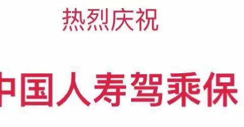 驾乘保，真真好