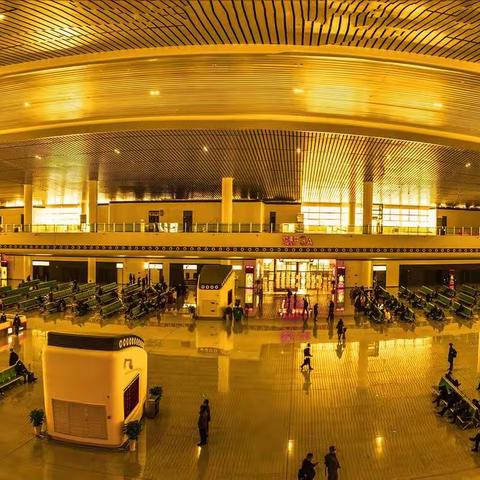 二年级摄影习作第十期📺📺 （🌹摄影系/二04班🌹）