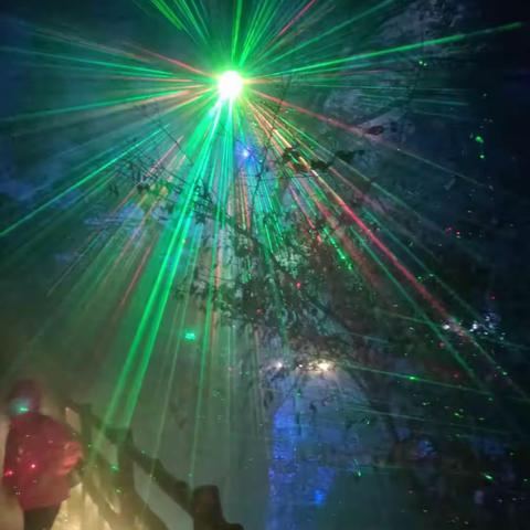 二年级摄影习作第八期📺📺 （🌹摄影系/二04班🌹）