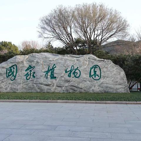 满园春色关不住