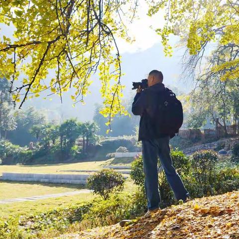 走进桐子坳，探寻金黄色的童话世界