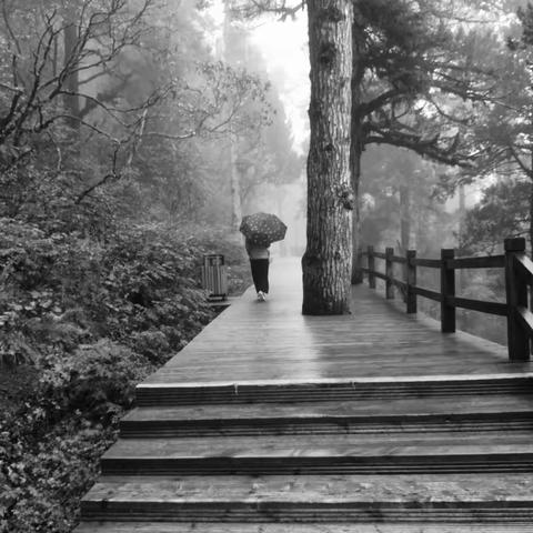 秋雨蒙蒙川西行