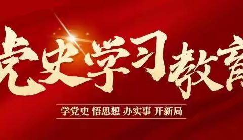 学党史     开新篇——平等中心小学支部组织生活会