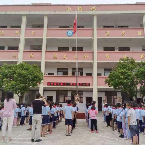 杨梅小学开学通告