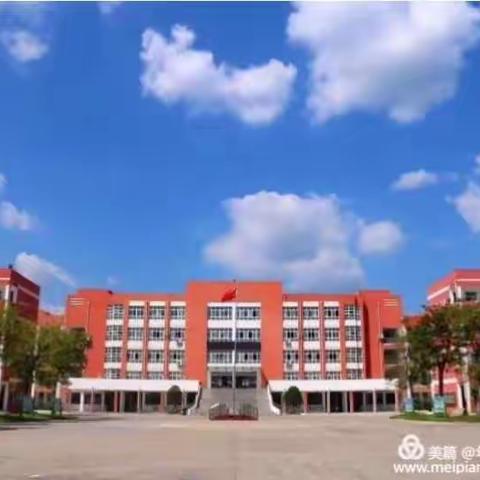 以爱之名，由心出发。——泗阳经济开发区学校1801加菲猫中队第一学期精彩回眸