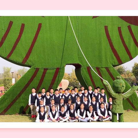 💕我和秋天有个约会🌸泗阳经济开发区学校1801班小银杏中队秋季实践活动