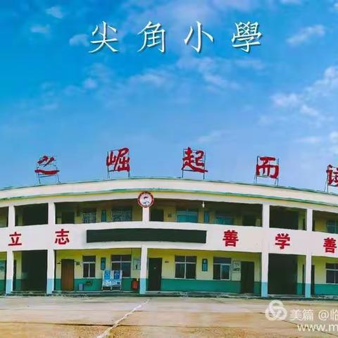 美丽尖小 快乐尖小 活力尖小 自信尖小——尖角小学教育教学成果展示