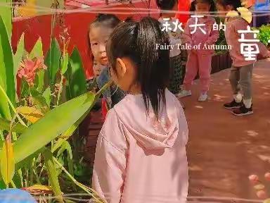 “十月，秋日童话”·东湖幼稚园——大二班第六周精彩瞬间