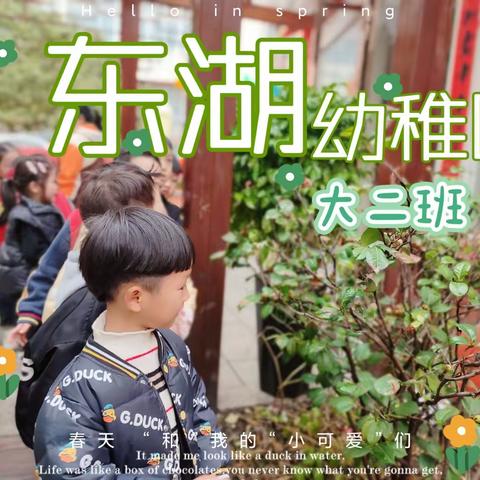 “春意绵绵·寻春迹”——东湖幼稚园大二班第四周精彩瞬间