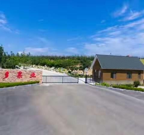 中国有个荣成，荣成有个悦多。。。。。。