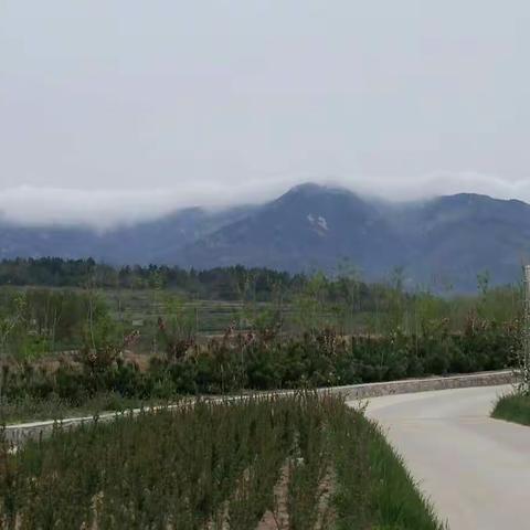 伟德山麓一悦多果业