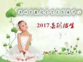 通州区星霖社会艺术发展中心2017暑期招生