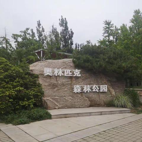 奥林匹克森林公园