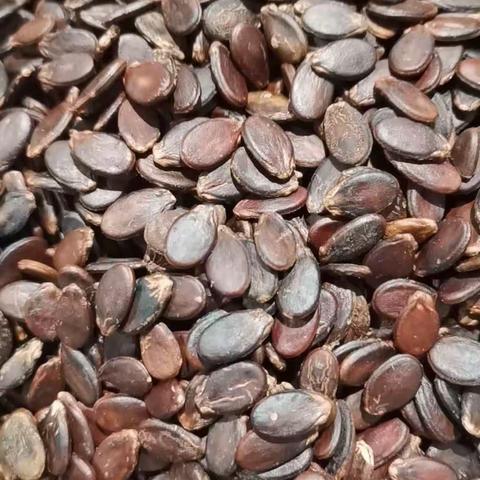 活动时间2023年12月30日一2024年1月1日