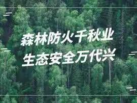 一年一岁又重阳