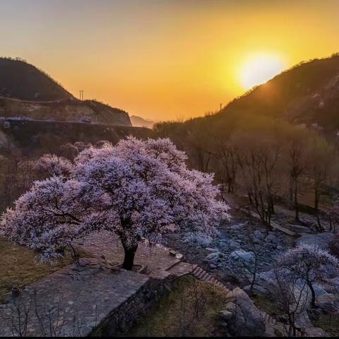 国网赞皇县供电公司开展退休职工“留住春天”主题摄影活动