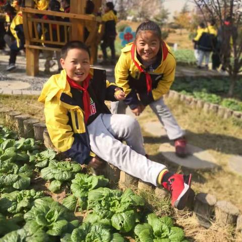 静待 秋去冬来，一路向暖   ———记泗洪育才北辰学校二年级行知园观察活动