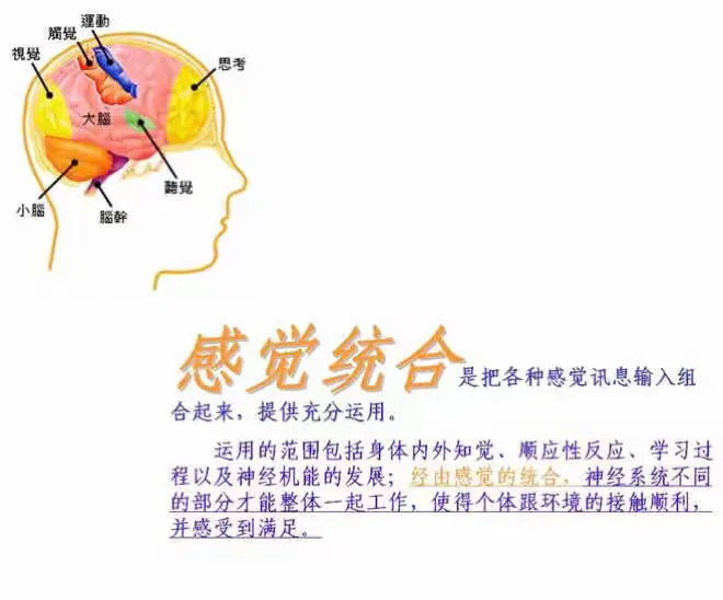 【童童童～感觉统合教育】 感觉统合与自闭症或自闭症倾向