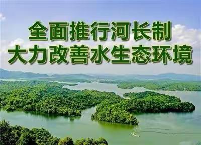 区级河长开展巡河工作