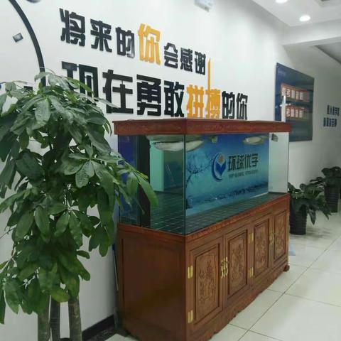 桥东环球优学校区