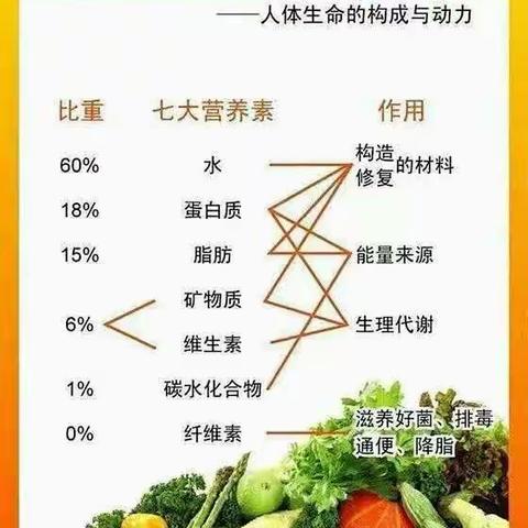 论营养早餐的重要性