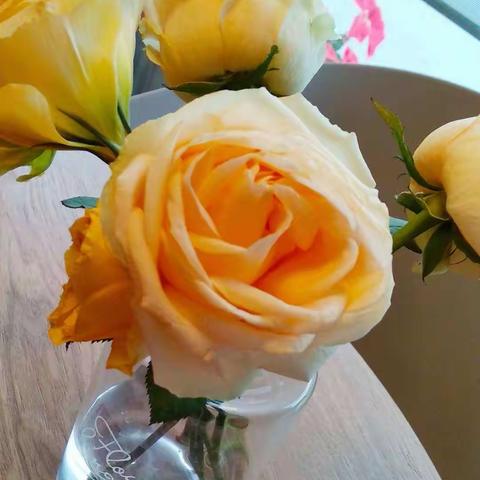 女人，请让自己不完美