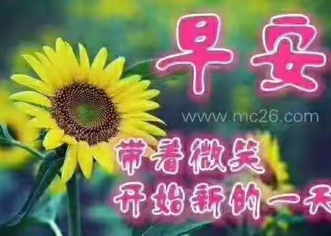 美女与废女——林海峰作品