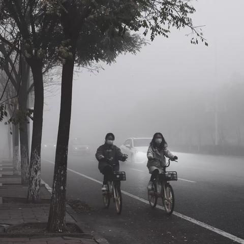 黑白摄影（雾中风景）