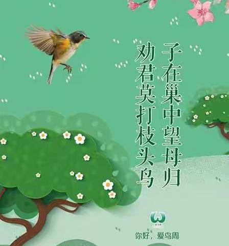 爱鸟护鸟·和谐美好——益文幼儿园明月班爱鸟周系列活动