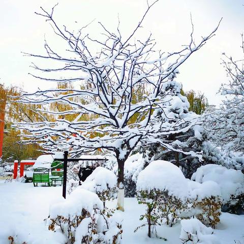 暴风雪中的沈阳
