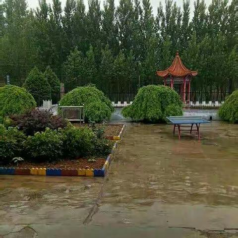 夏雨即景古今诗二首