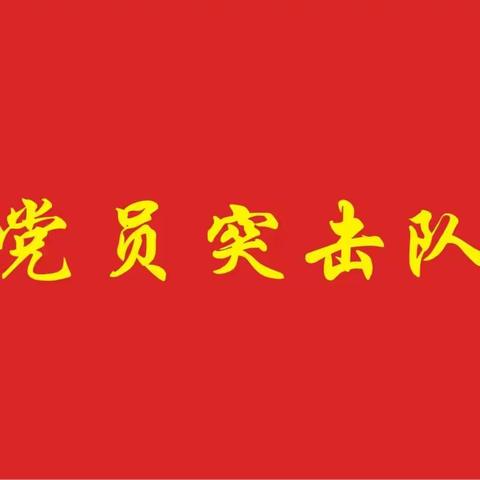 亮党员先锋本色 支撑一线永担当