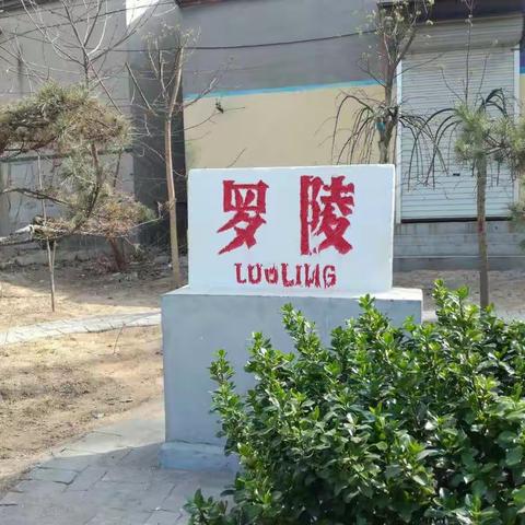 ［白云湖街道，罗陵村］环境综合治理及绿化、美化纪实。