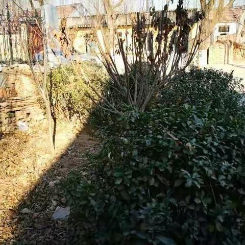 魅力乡村我的家