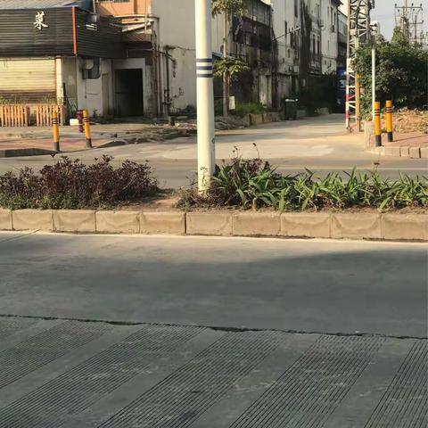 洁格17问题汇报