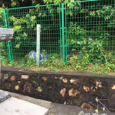 公园组0810 01巡查报告