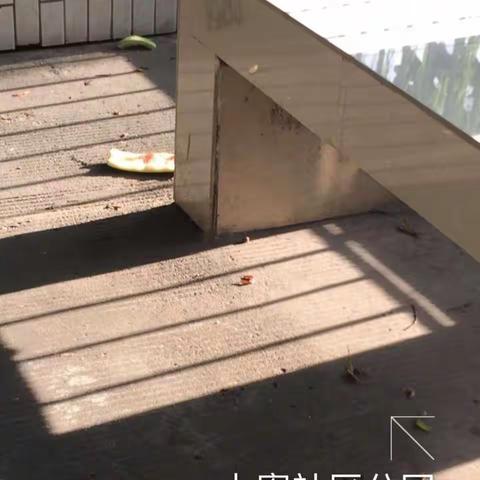 公园组0809 01 巡查报告