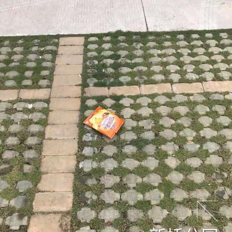 公园组 061601 督查报告