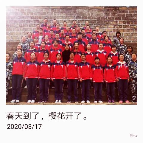 停课不停学,春暖花自开