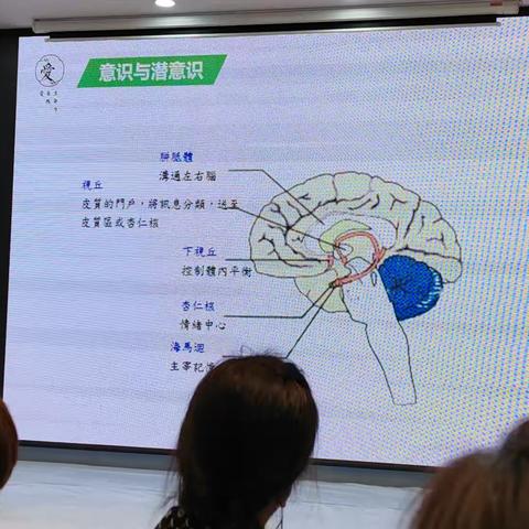 33篇日记《我们值得拥有一切美好的》