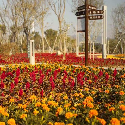 向祖国70华诞献礼  个人近期摄影作品集