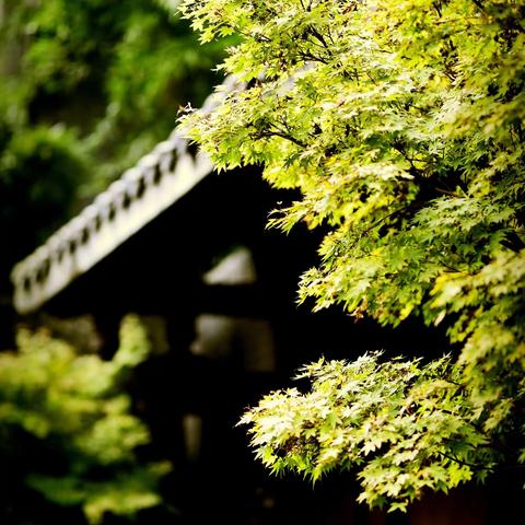 香槟陋室铭