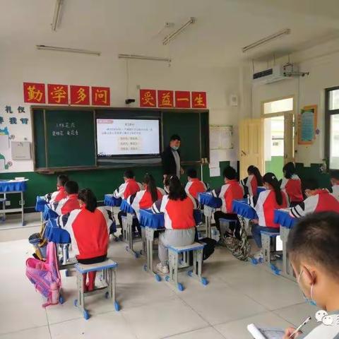 【落实“双减”政策     聚焦高效课堂】康县长坝镇山根小学促教研提质量系列活动(一)