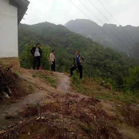 阿达嘎茶叶基地一览