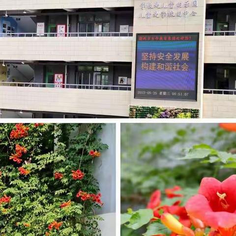 【青年·教研】花开“疫”散，全力以“复”——青年路小学本部英语组学情调研反馈总结