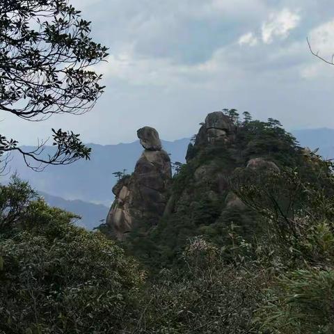 三清山上逍遥游，青山绿水怡我情。帅哥美女心神爽，祖国河山走一走。