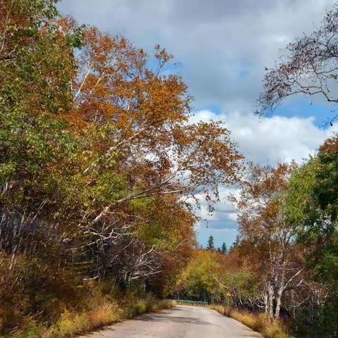 江山揽胜   东北行