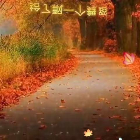 🍂八怪阳宝与秋叶款款🍂